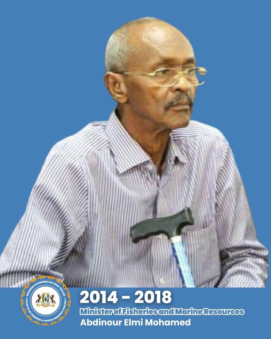 Abdinur Elmi Mohamed